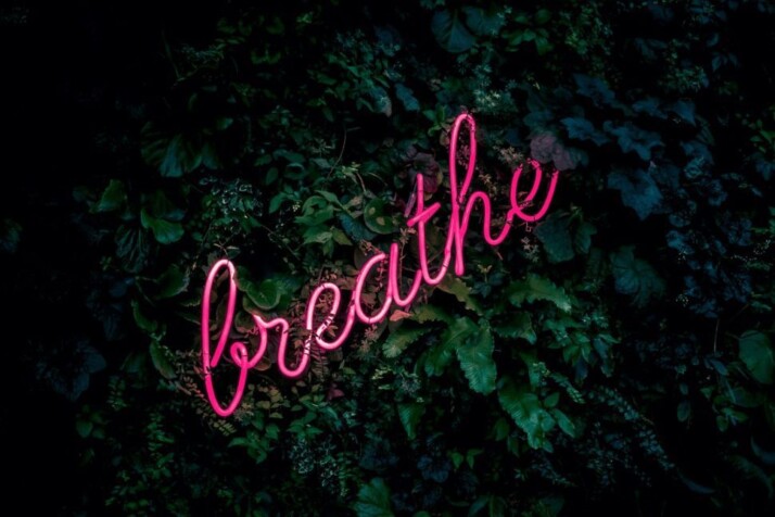 bright pink breathe neon signage over dark green foliage.