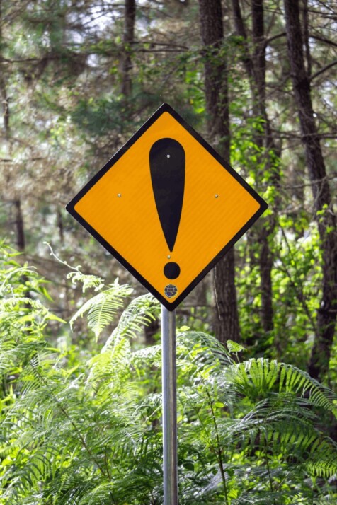 a yellow and black warning sign on a forest road