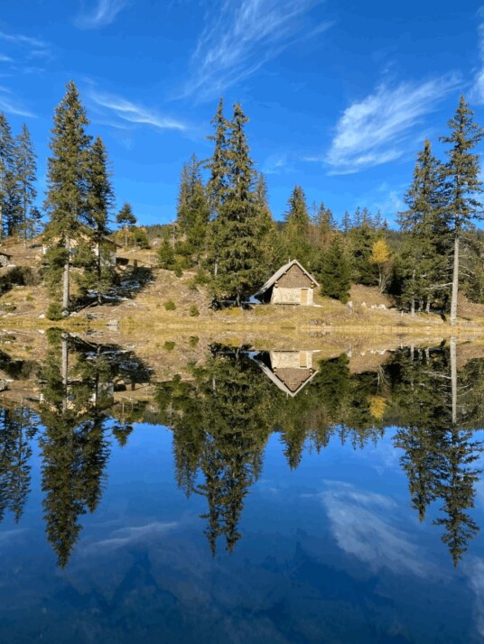 brown wooden house near green trees and lake under blue sky during daytime