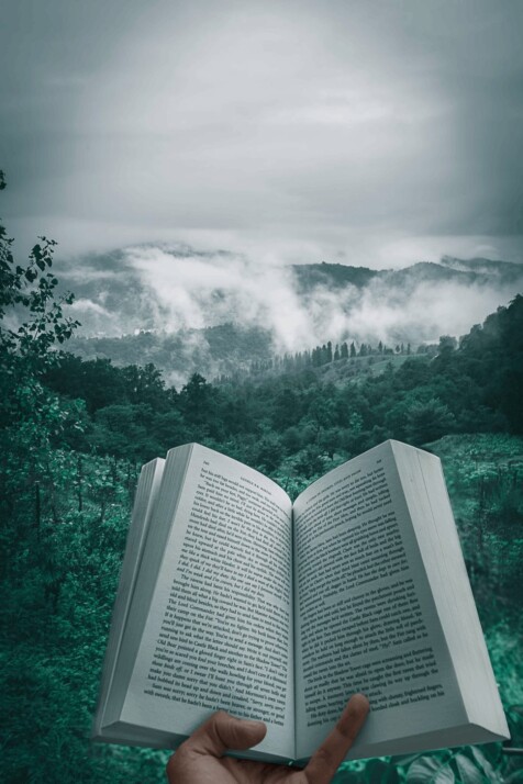 person holding open book viewing mountain view and green forest