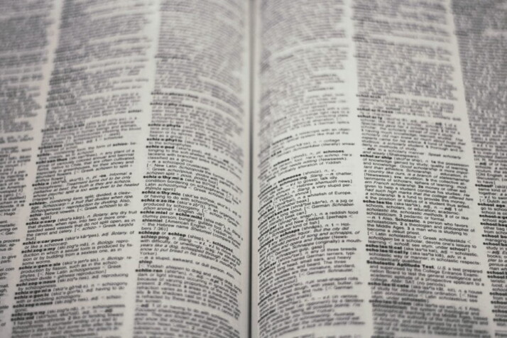 dictionary with hundreds of words with their corresponding meanings.