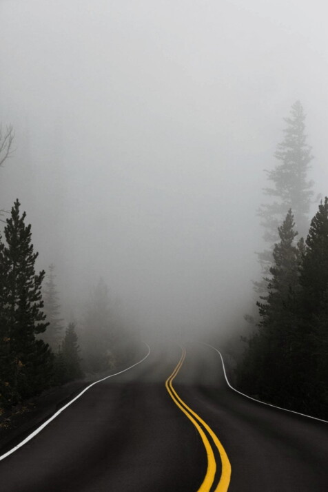 empty road in the US surrounded with trees with fog.