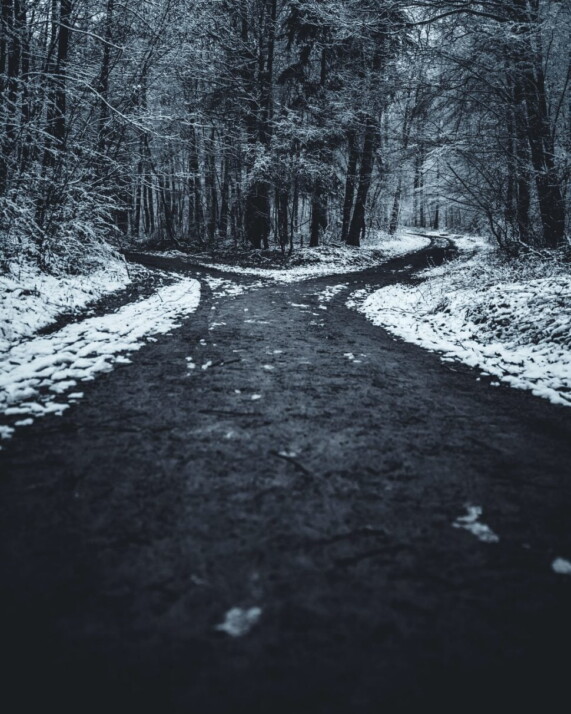 landscape photography of splitted road surrounded with trees during snow.