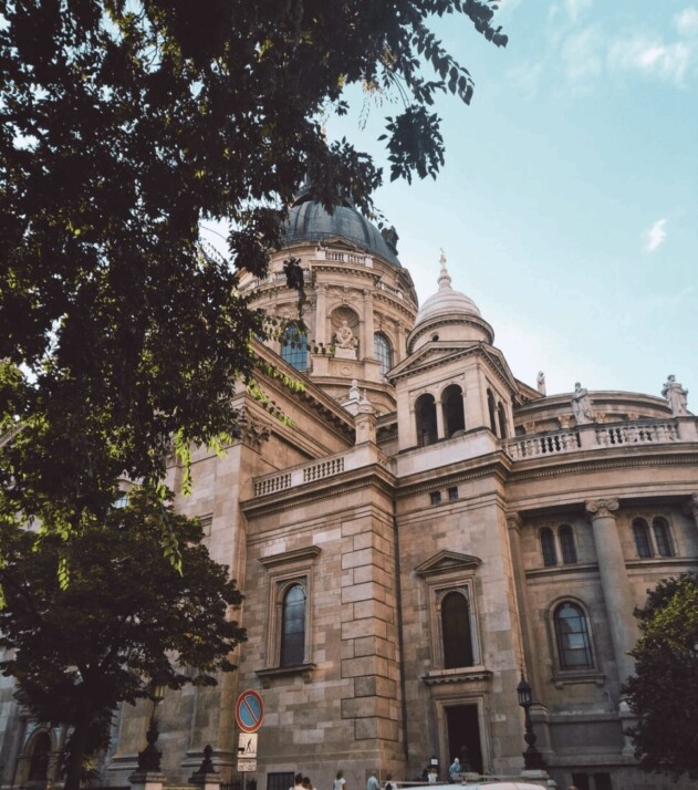 selective focus photography of brown concrete building with Classic architecture.