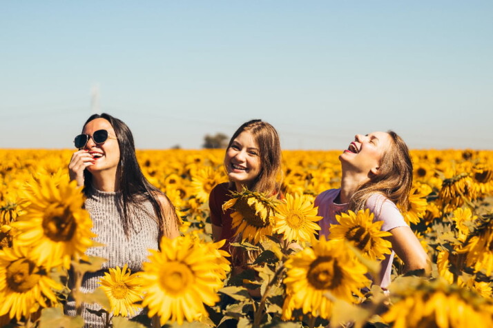 Three friends laughing on a bright yellow sunflower field. 