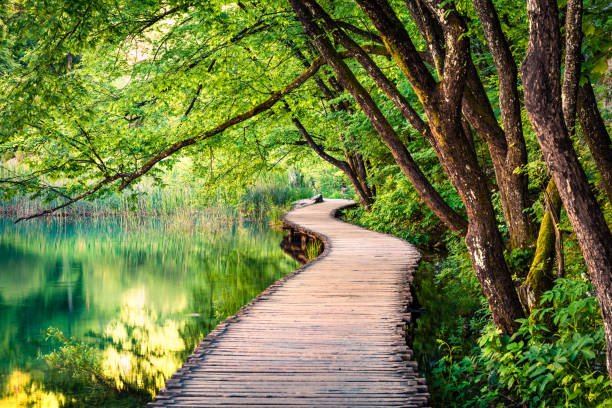 picturesque morning in plitvice national park colorful spring scene picture 