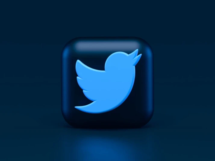 A blue and black Twitter tiny bird illustration on a box.