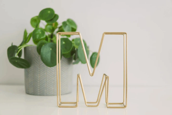 gold-colored M freestanding letter near plant on white surface