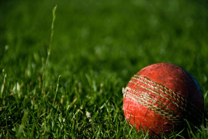 shallow focus photography of red cricket ball