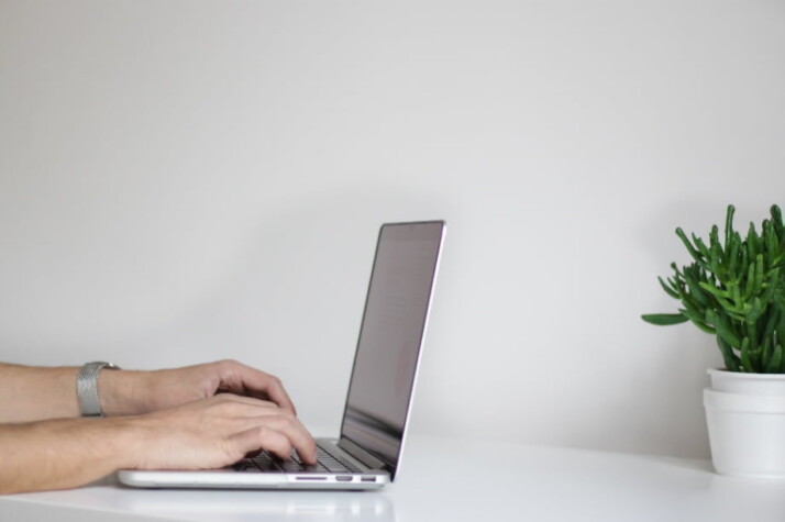 A person typing something on a laptop with a small plant on the table.