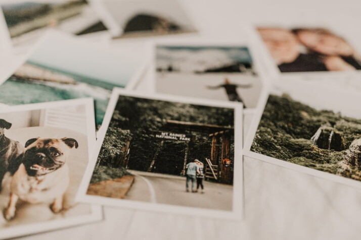 A set of old photographs of road trips and cute dog pets.