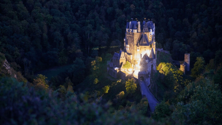 brown concrete castle in the middle of forest