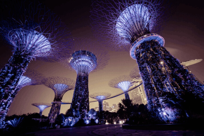 Singapore Forest Marine Bay