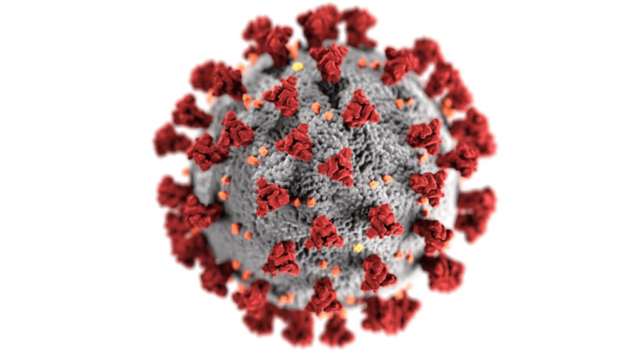 a microscopic image of the covid-19 virus that is colorized.