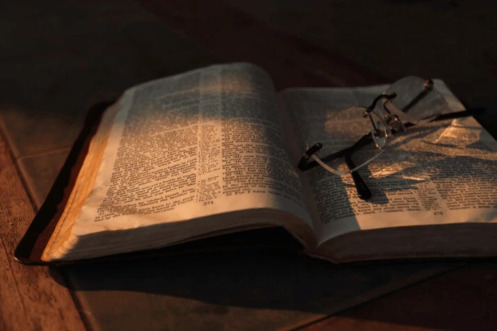 gray eyeglasses placed on a opened book on brown panel