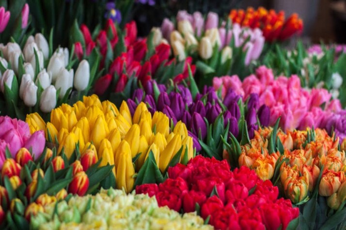 A colorful and wide selection of flowers at a shop.