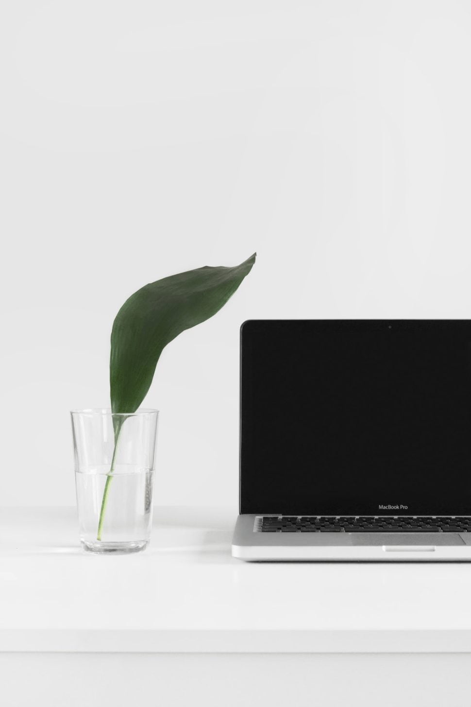 MacBook Pro beside plant in vase on white surface