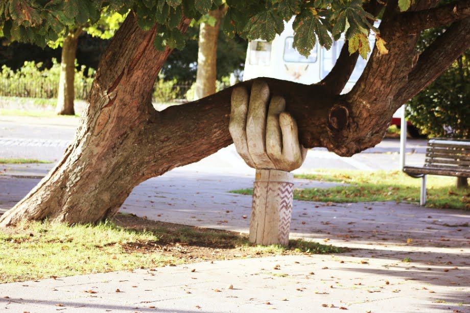 a stone hand statue that is supporting a crooked tree.