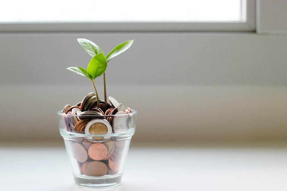 green plant in clear glass cup with coins for seeds.