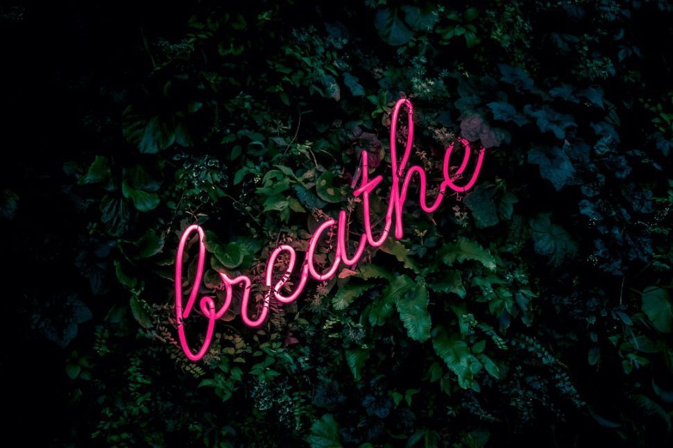 In a serene display, the word "breathe" takes form from an LED pipe, gracefully placed on a bed of leafs.