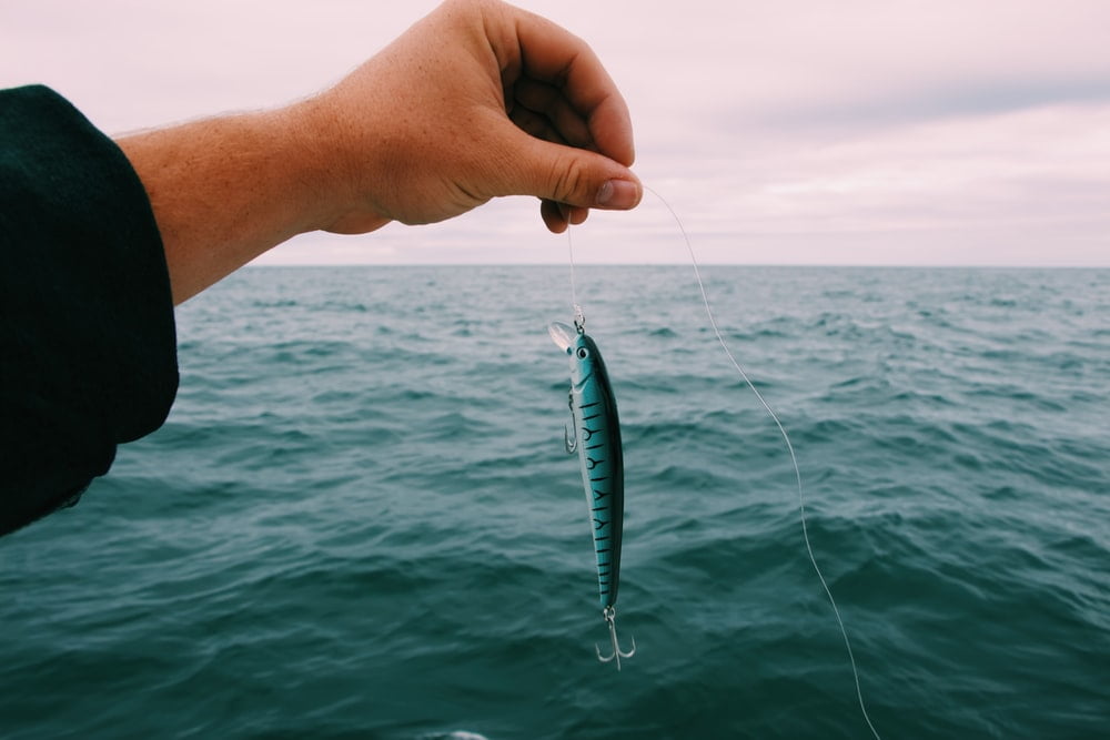 person holding blue and black fishing baits