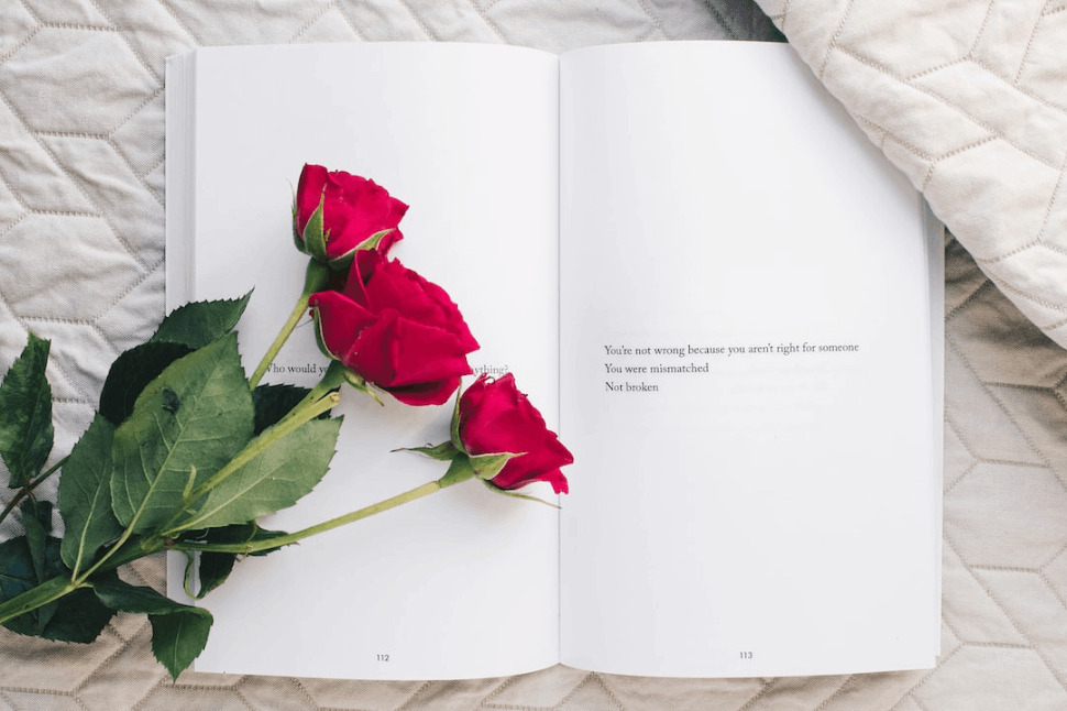 Three red rose flowers placed on a white open book