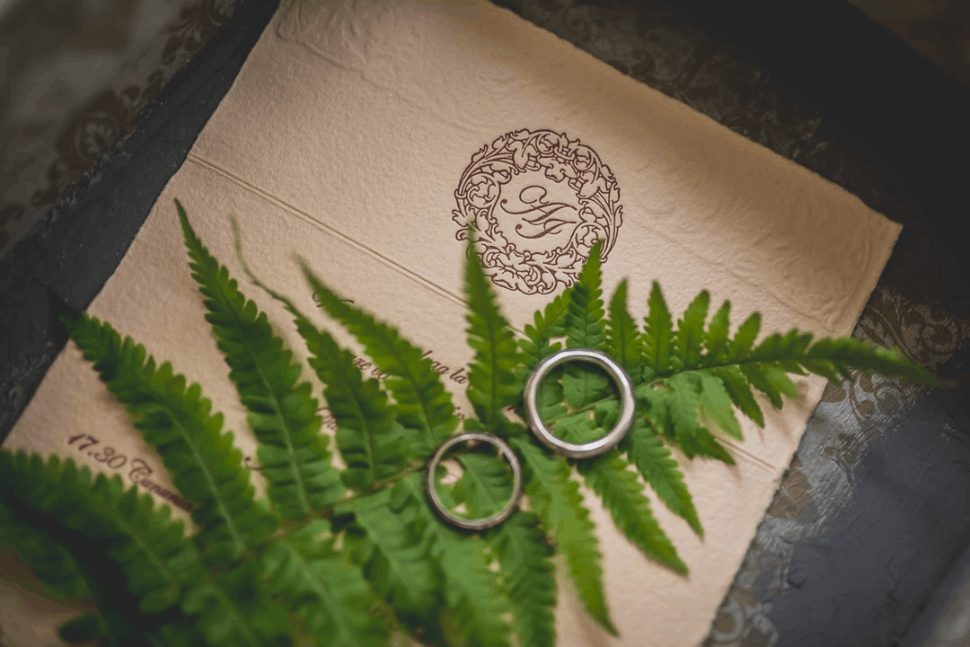 two silver-colored rings on top of a fern, on top of an invitation.