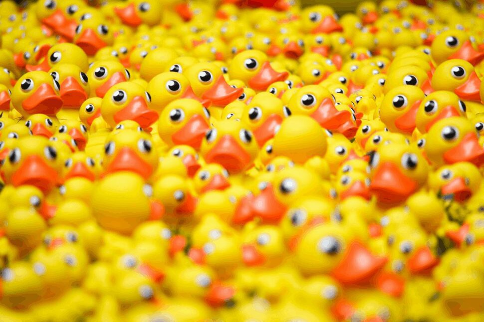 Rubber ducks that are in huge amount of piles.