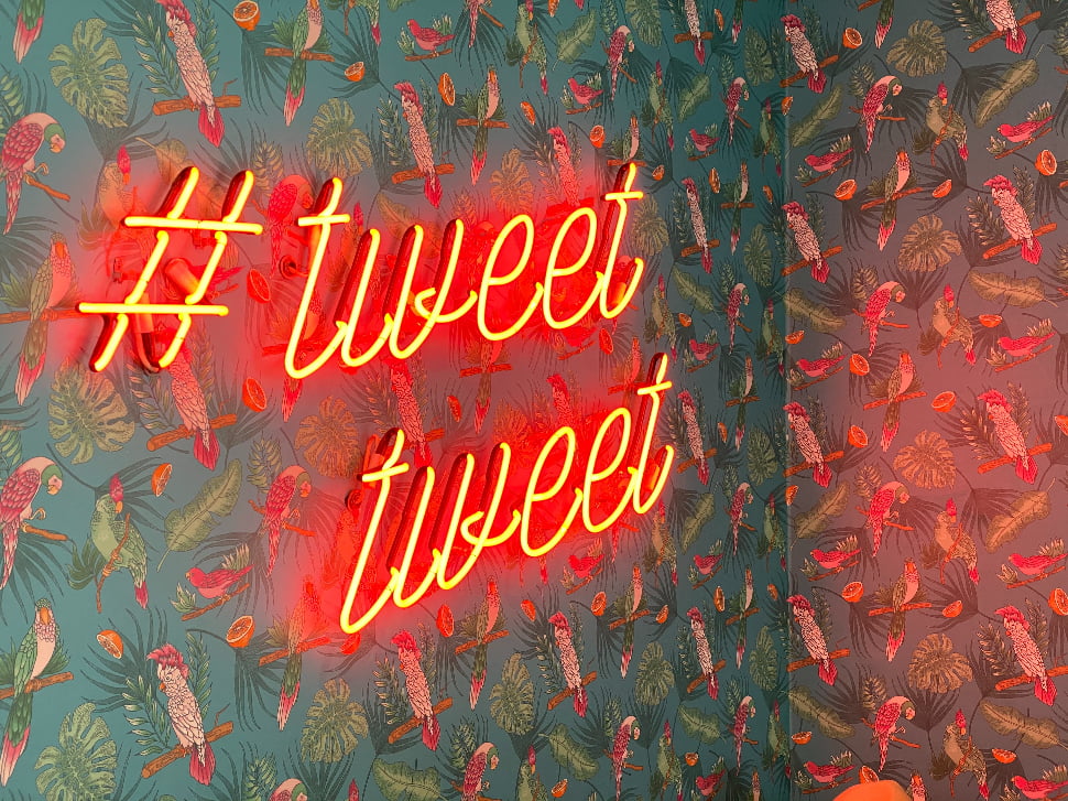 red neon sign that reads #tweet tweet on a wallpaper with parrots.