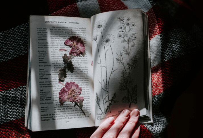 Images of meesed flowers in book