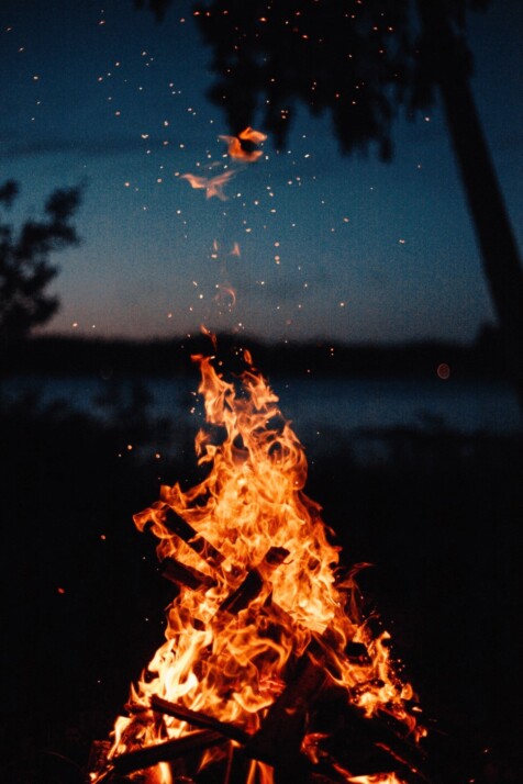 Close view of bonfire during night time in a forest