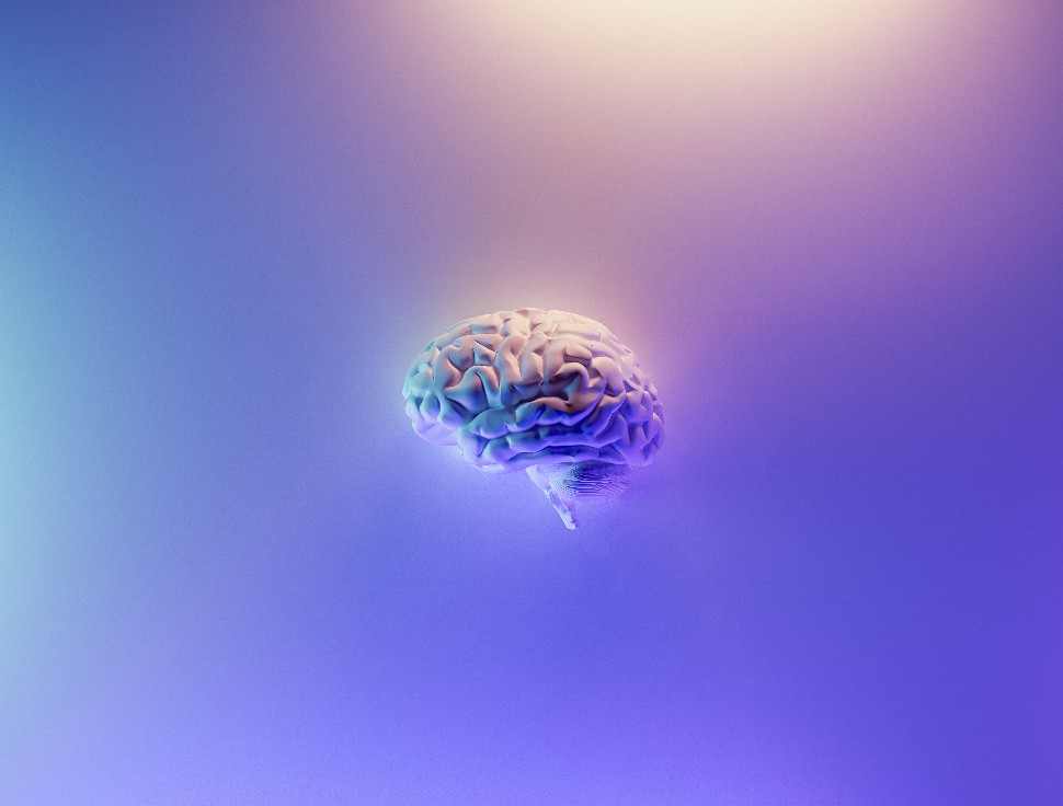A photo of a brain pictured against a purple background.