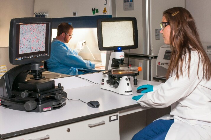 One technician viewing a blot on a microscope while another is using a pipette